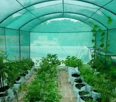 Nursery Horticulture Shade Nets: over a nursery grow tunnel